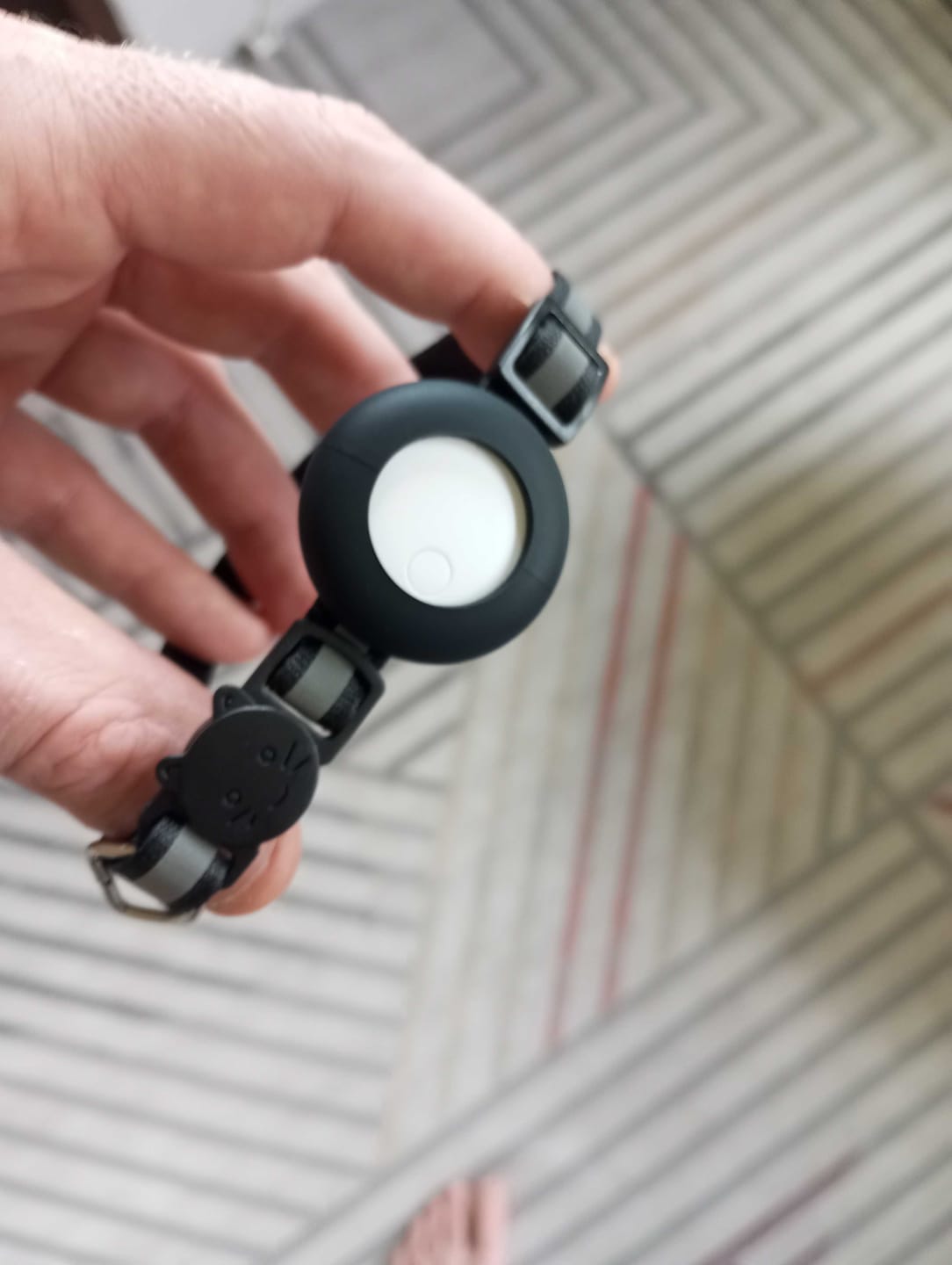 Customer photo review of AirTrackTag Kattpaket