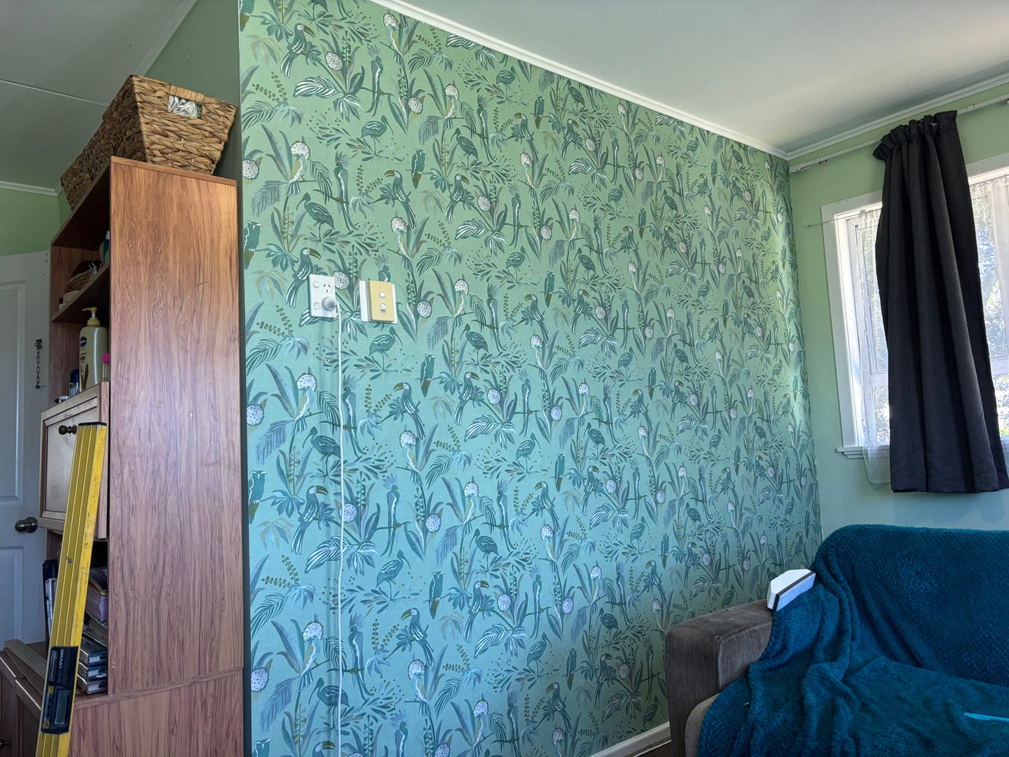 Customer photo review of Jungle Birds Wallpaper - House of Turnowsky - Green