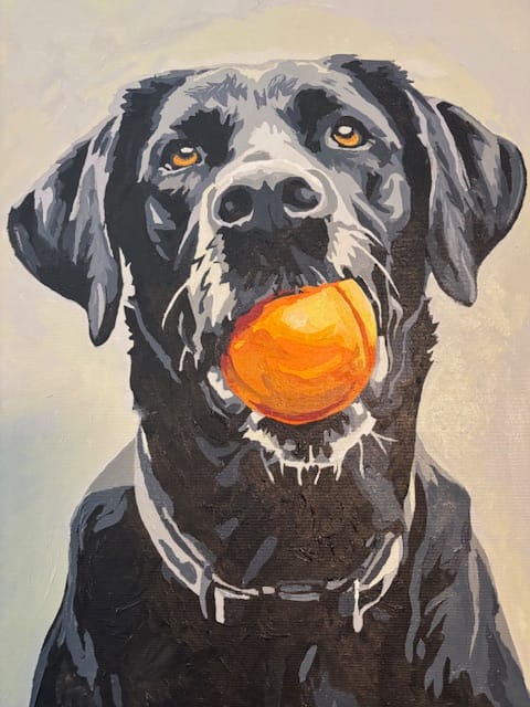 Customer photo review of Play Time