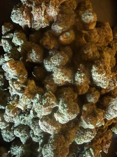 Customer photo review of Bulk THCA Smalls