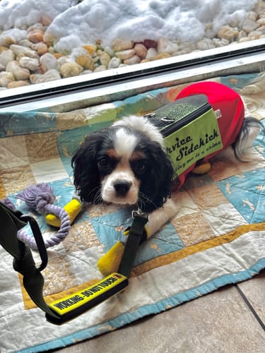 Customer photo review of All Around Toothbrush | Slim