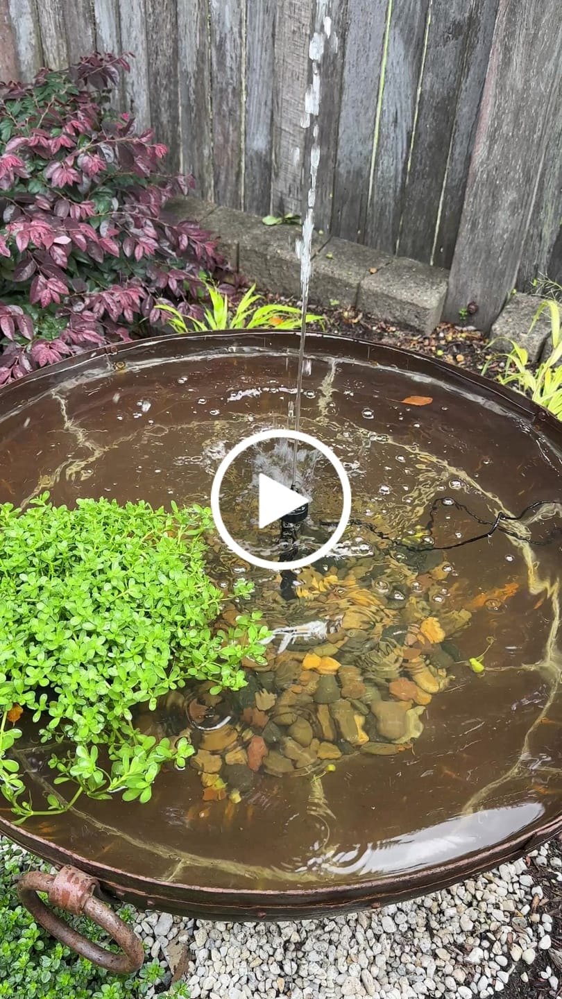 Customer video review of Solar Fountain Pump & Panel w/ Inbuilt Battery - 250LPH