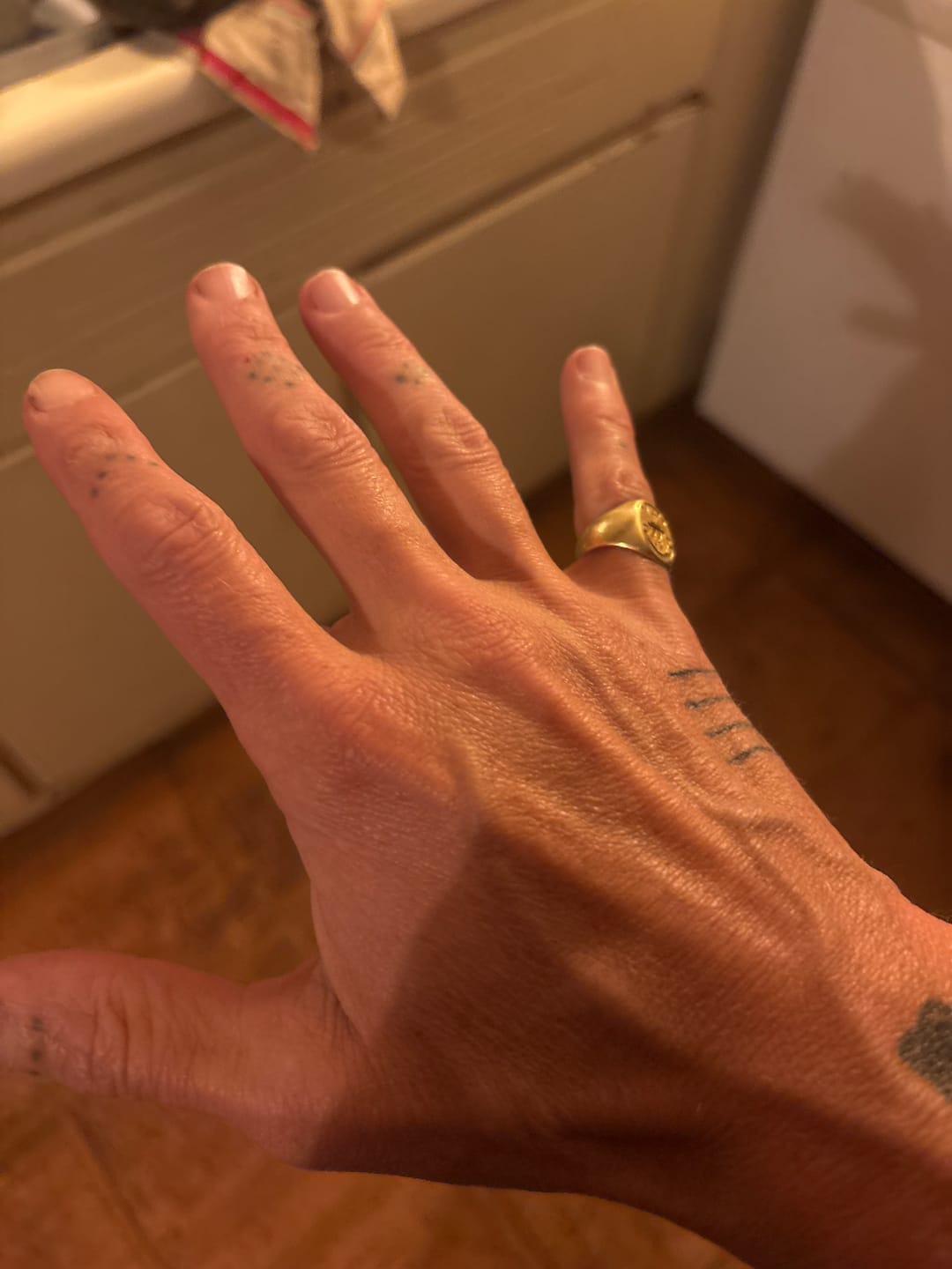 Customer photo review of Sol+3 and AGR+E Day & Night Set