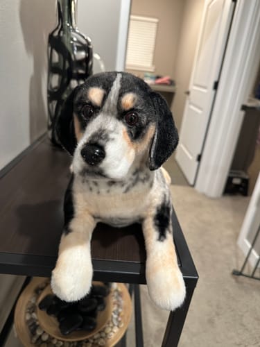 Custom Petslify plush reviewed by Heather H., handmade replica of their dog