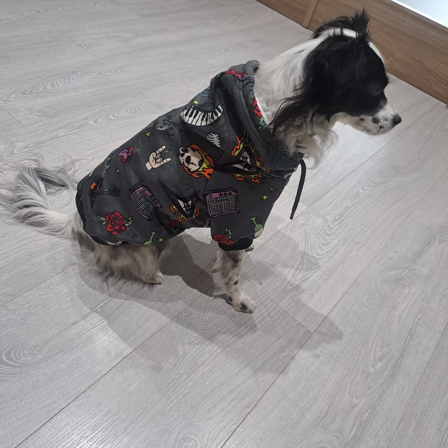 Customer photo review of Rock and Roll Dog Hoodie