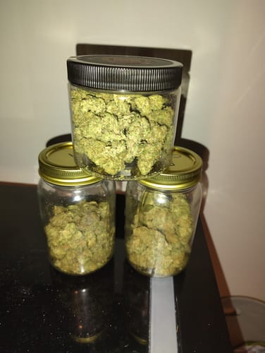 Customer photo review of Airheadz THCA Flower