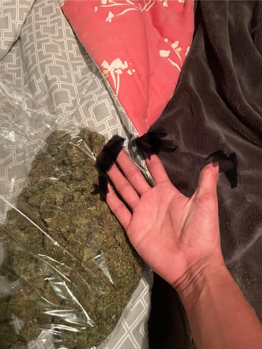 Customer photo review of Shipping Protection by Route