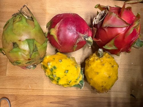 Kundenbewertung: Fünf Drachenfrüchte aus der Mix-Box, darunter rote, gelbe und eine grünliche Sorte, auf einem Holzbrett.