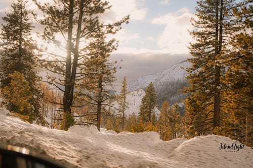 Customer photo review of TIER ONE MEMBERSHIP