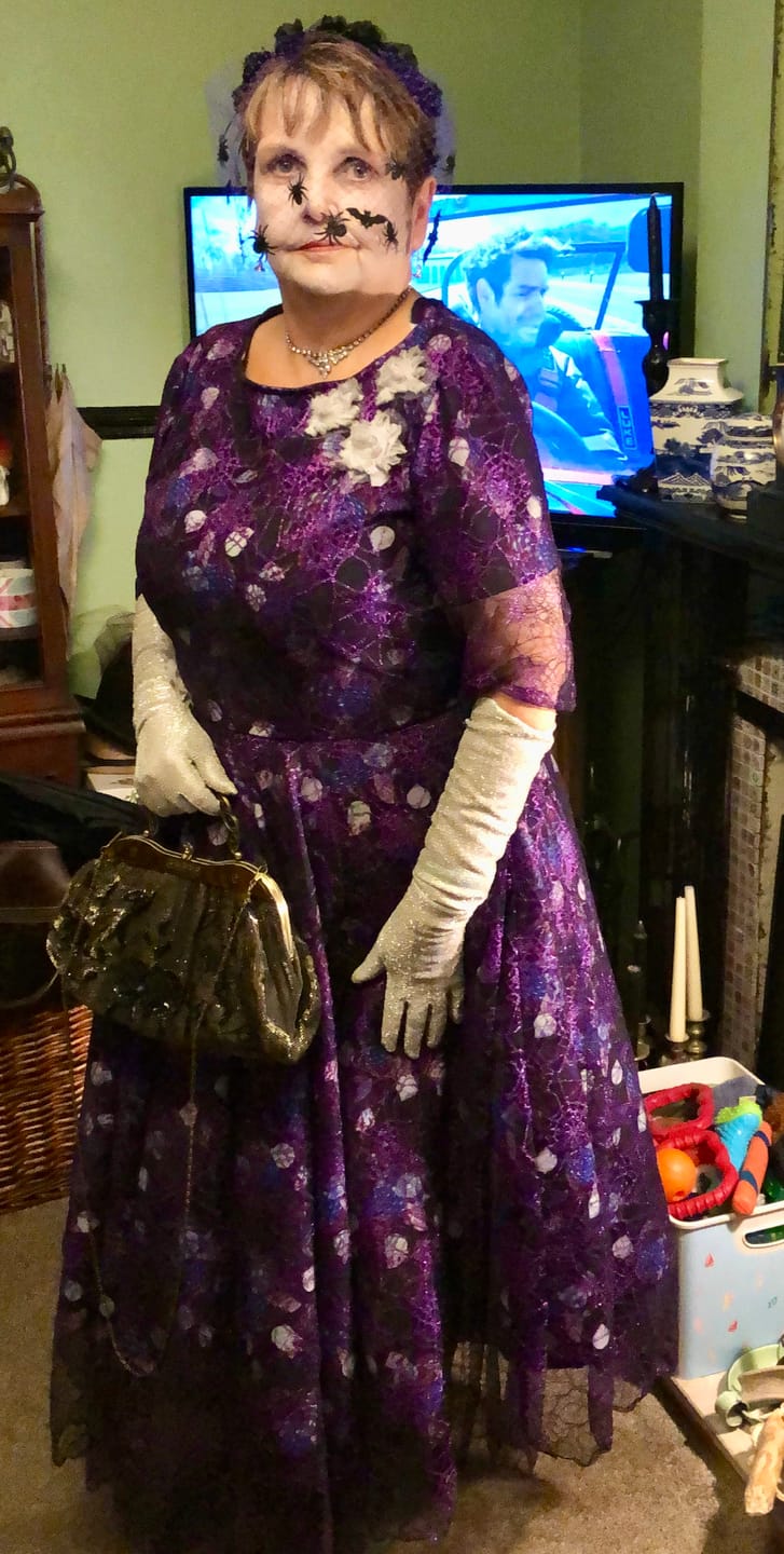 Customer photo review of Spider Web Net Fabric