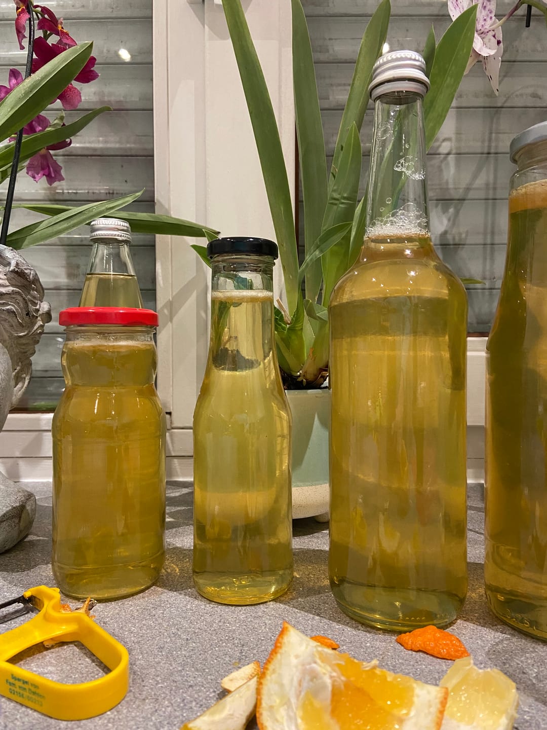 Customer photo review of Bergamotten Bio von Familie Bilardi Kalabrien