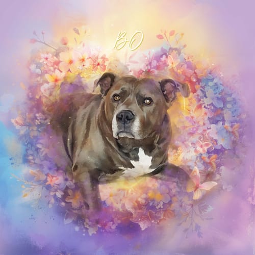Customer's Eternal Heart custom portrait of a brown dog within a watercolor floral heart.
