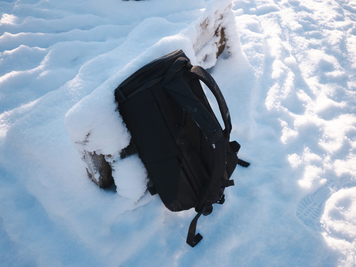 Customer photo review of The Organizer 20L