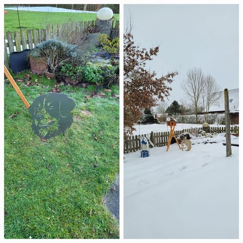 Customer photo review of Gartenstecker Berner Sennenhund Portrait