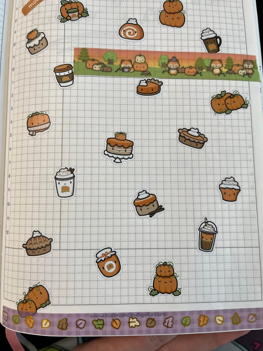 Customer photo review of Autumn Foxes Washi Tape (Set of 2)
