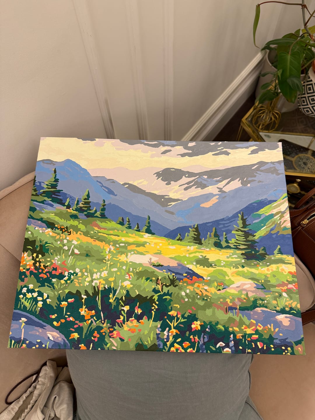 Customer photo review of Mountain Chain View