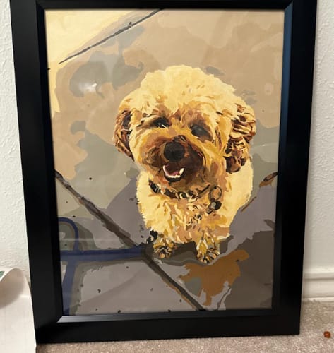Customer photo review of Custom Pet Paint By Numbers