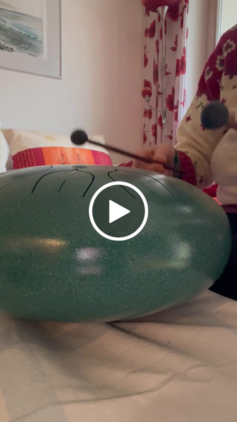 Customer video review of Tragetasche für die Sonodrum