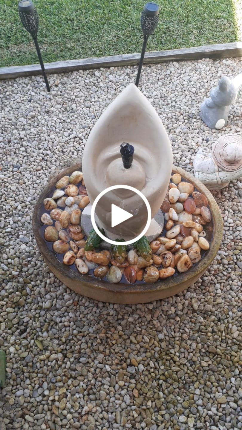 Customer video review of Reefe Replacement Solar DC Pump Only