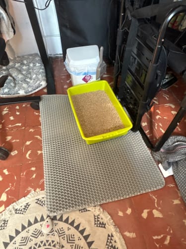 Customer photo review of The Easiest Way to Keep Cat Litter Off Your Floors — No Mess, No Stress
CleanPaws™ Litter Mat