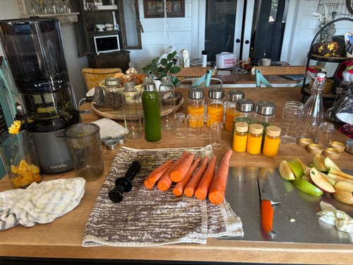 Customer photo review of C16 3-in-1 Multi-Function Juicer