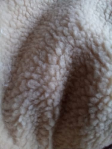 Close-up of the reviewer's beige Sherpa Faux Fur Fabric, highlighting its soft, bumpy texture.
