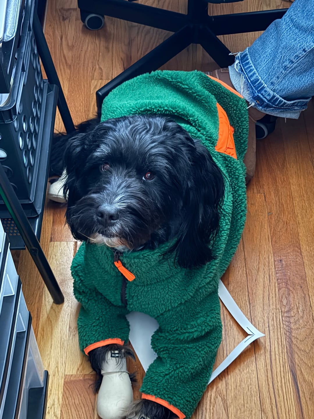 Customer photo review of Monkey Fleece Jacket
