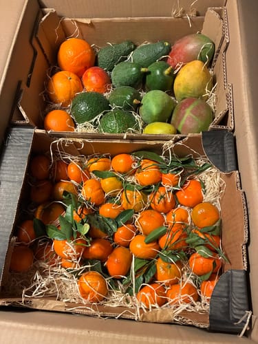 Kunde zeigt die geöffnete Mango-Avocado Bio Box mit frischen Mangos und Avocados neben einem zweiten Karton voller Mandarinen.