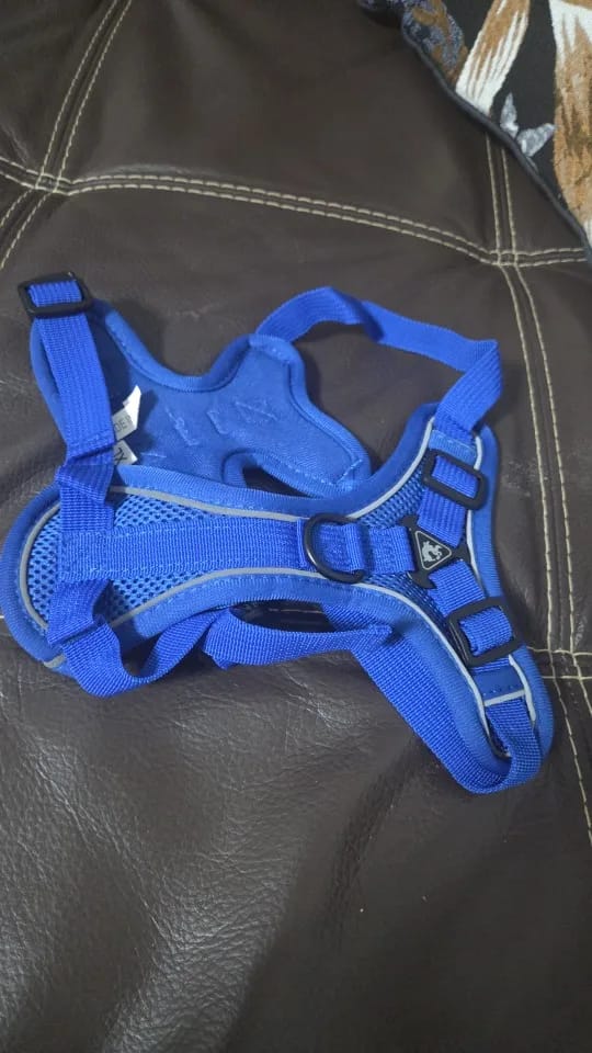 Customer photo review of Harness and Leash Set for Small Dog and Cat