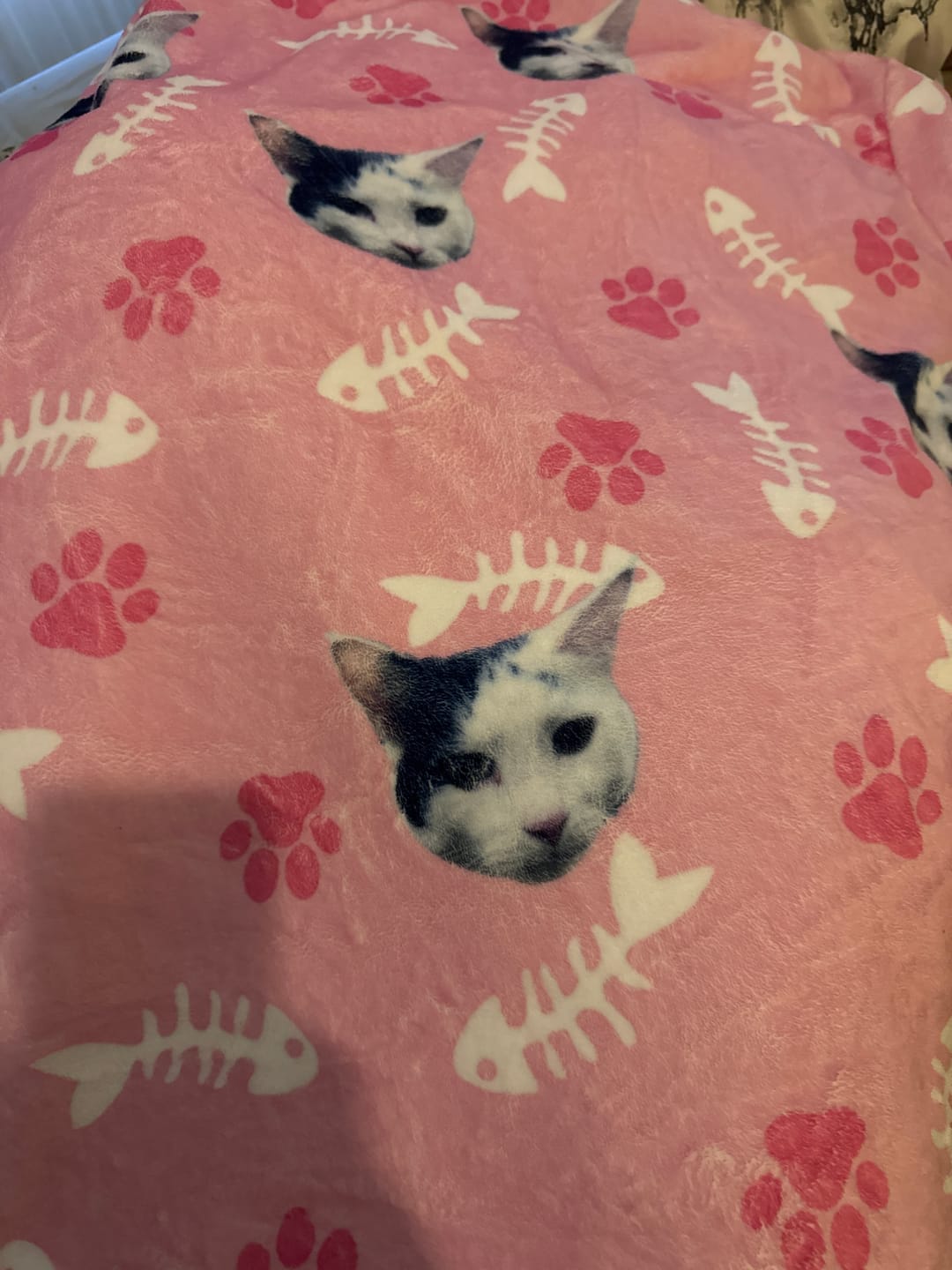 Customer photo review of Custom Cat Hoodie