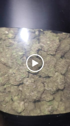 Customer video review of Cheap THCA Flower Half Pound