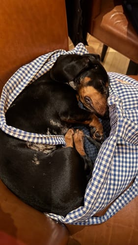 Customer photo review of Borsa Cotone Vichy Bluette