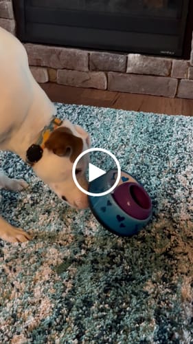 Customer video review of Freezball - Durable Fillable Dog Chew Bone