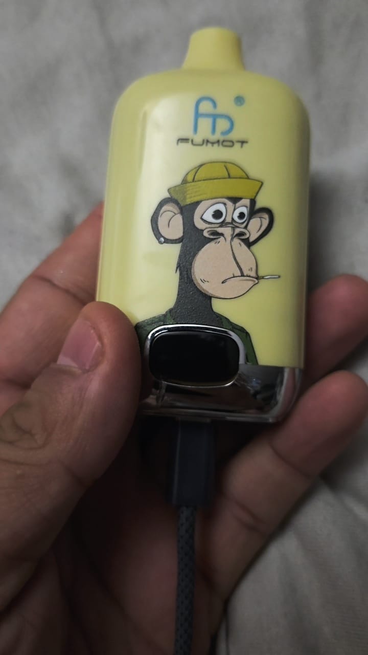 Customer photo review of RAndM Digital Box 12000 Puffs Disposable Vape