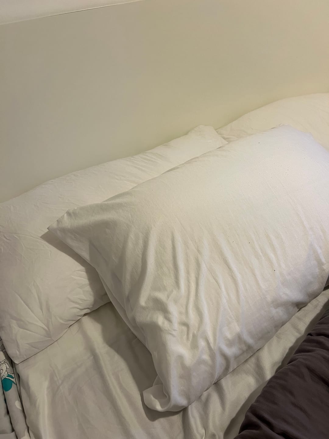 Customer photo review of Martian Dreams Velistra® - Hotel Bamboo Microfibre Pillows - Twin Pack