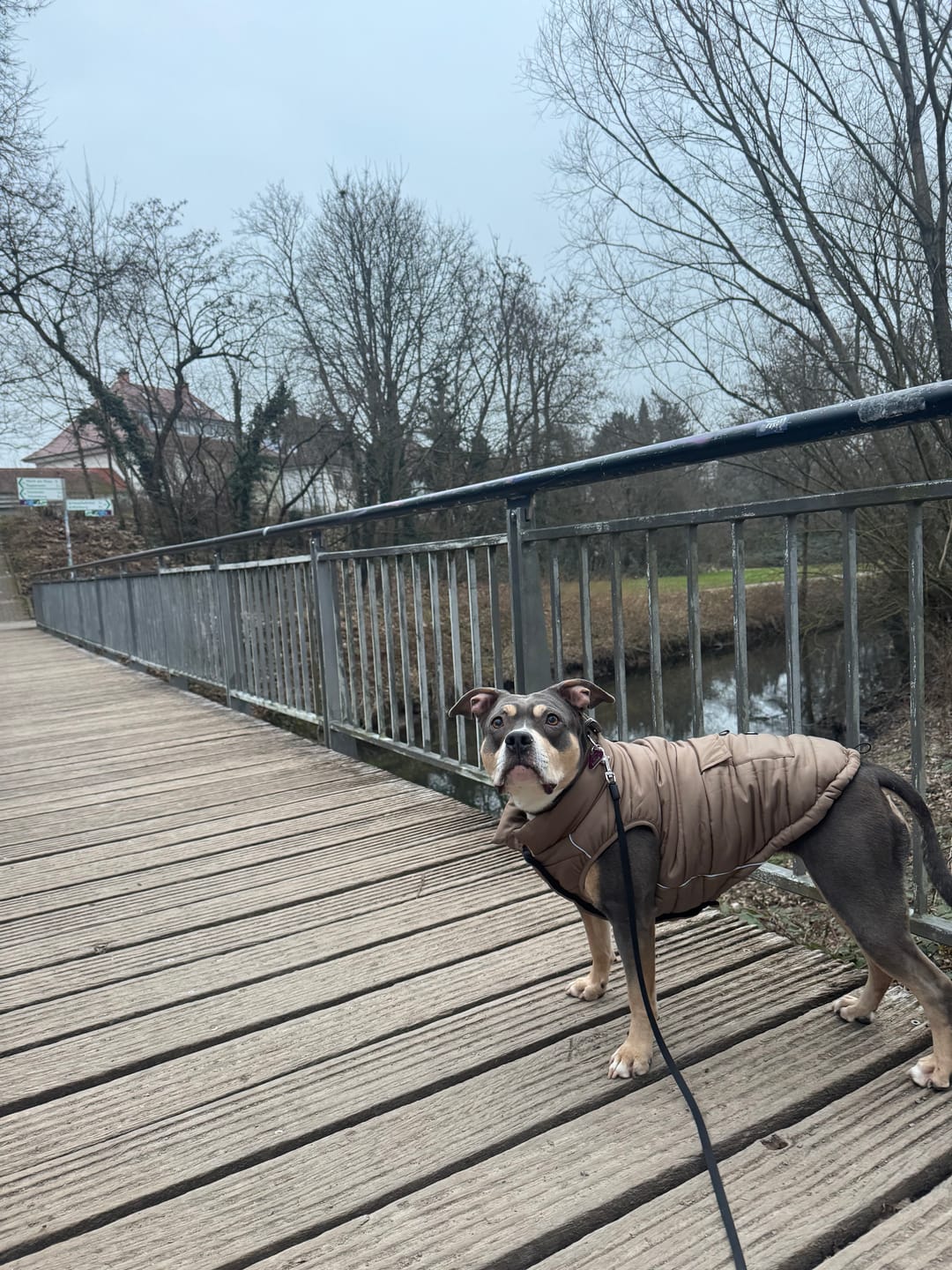 Customer photo review of WarmShield Water-Resistant Jacket - Tan