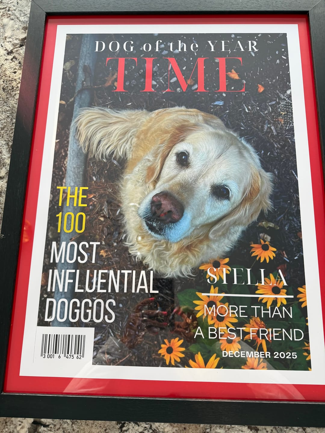 Customer photo review of Pet Portrait Magazine Cover