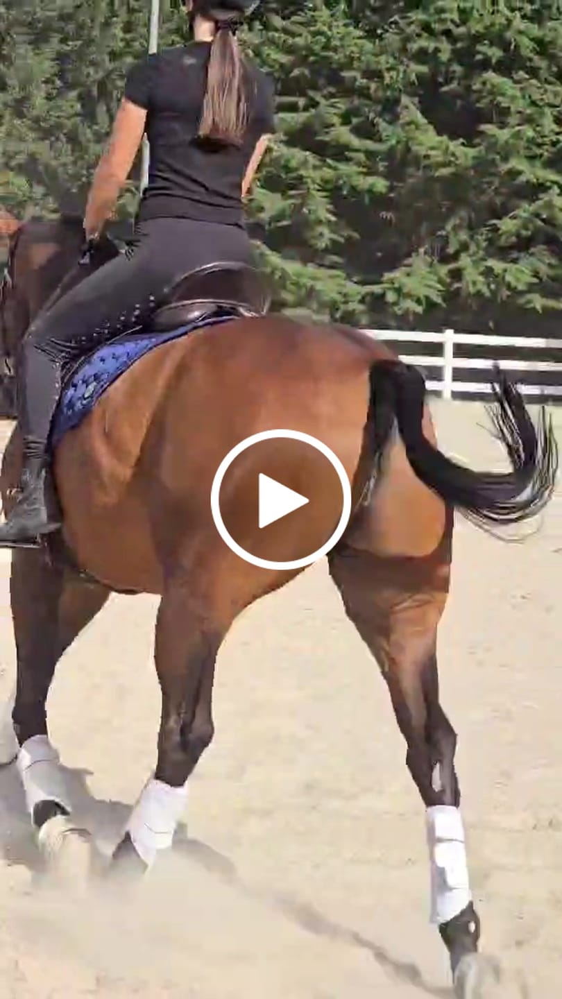 Customer video review of Thames Ascot Riding Tights - Black + Pink