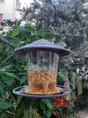 Customer photo review of Vogelfutterhaus – Hängende Futterstation für Wildvögel
