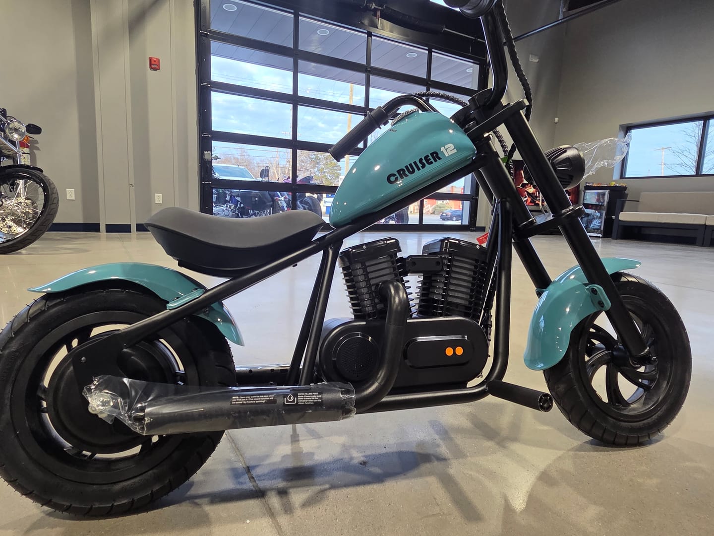 Customer photo review of Cruiser 12 Plus