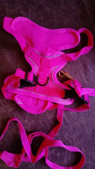 Customer photo review of Harness and Leash Set for Small Dog and Cat