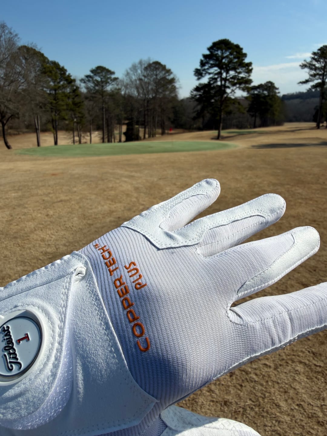 Customer photo review of WHITE/WHITE COPPERTECH PLUS ELITE GRIP GLOVE