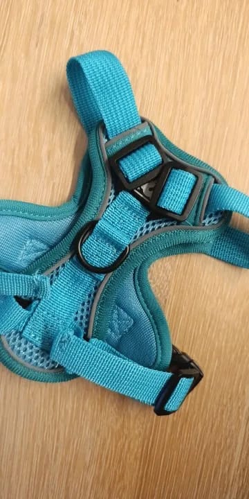 Customer photo review of Harness and Leash Set for Small Dog and Cat
