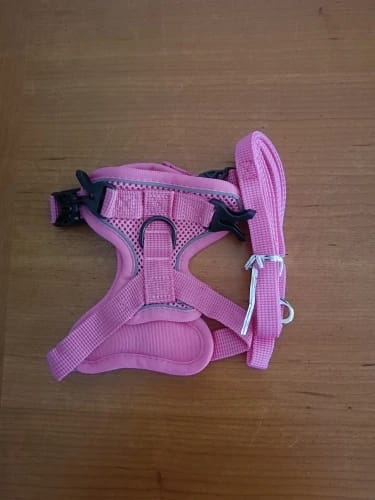 Customer photo review of Harness and Leash Set for Small Dog and Cat