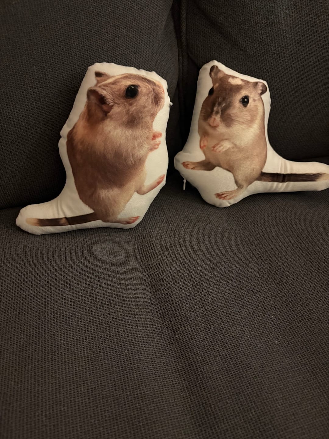 Customer photo review of Custom Pet Shaped Pillow that Look Like your Pet - ThePetPillow