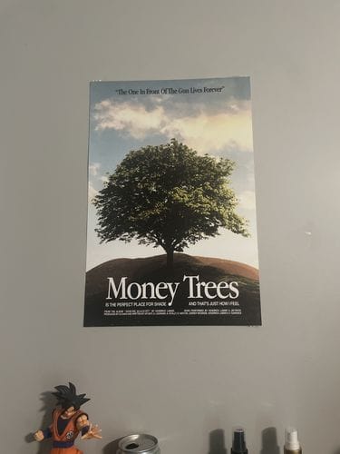 Customer photo review of Kendrick Lamar 'Money Trees' Poster