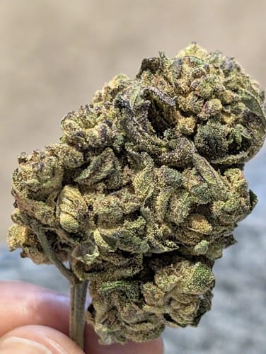 Customer photo review of Donutz - Bulk - Indica