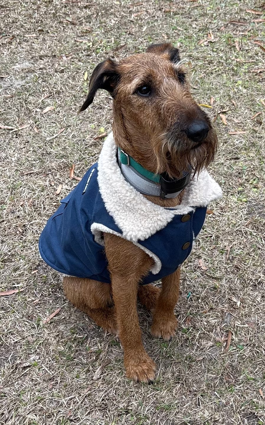 Customer photo review of Workdog Insulated Utility Jacket - Navy