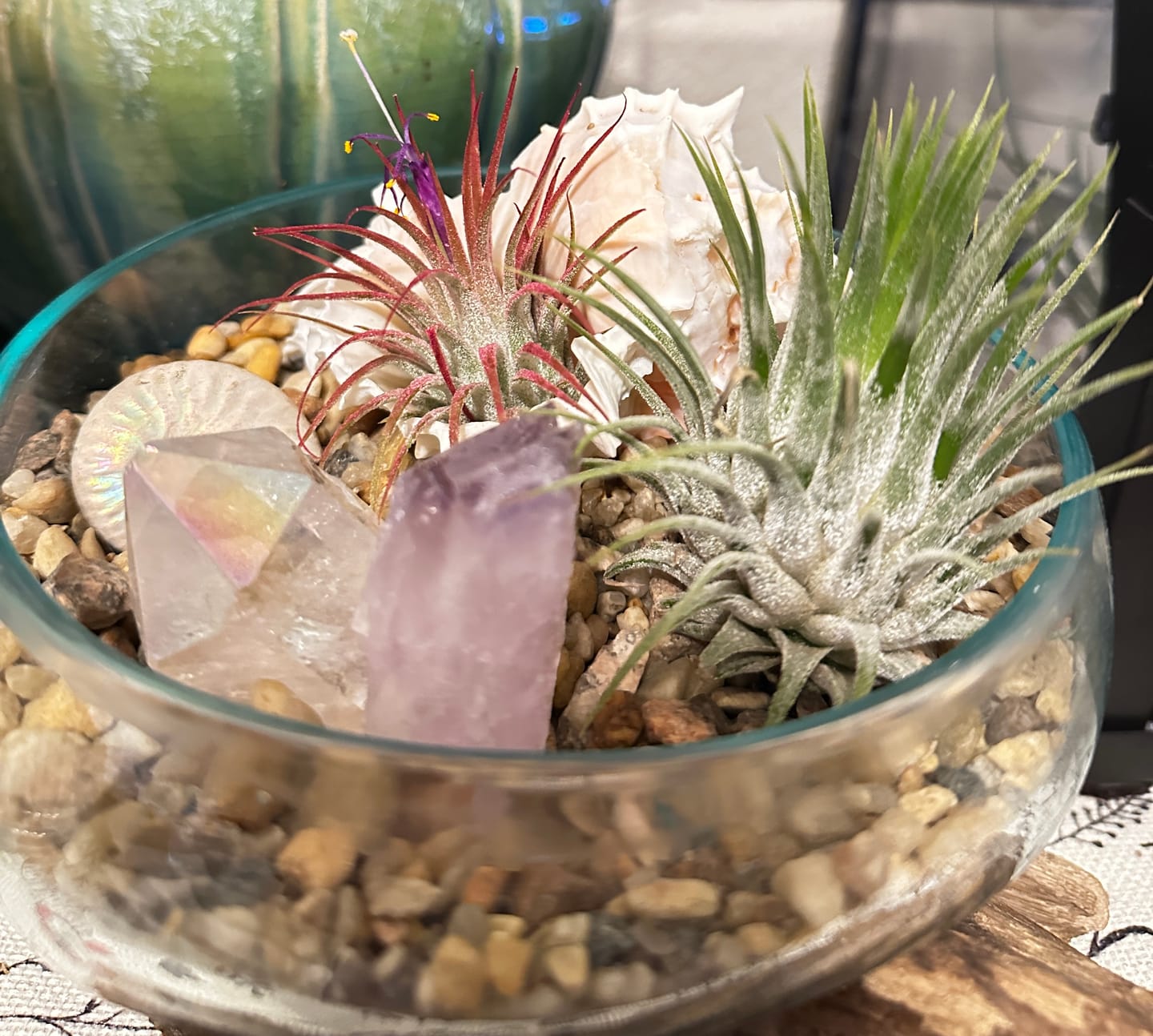 Customer photo review of Ionantha Guatemala