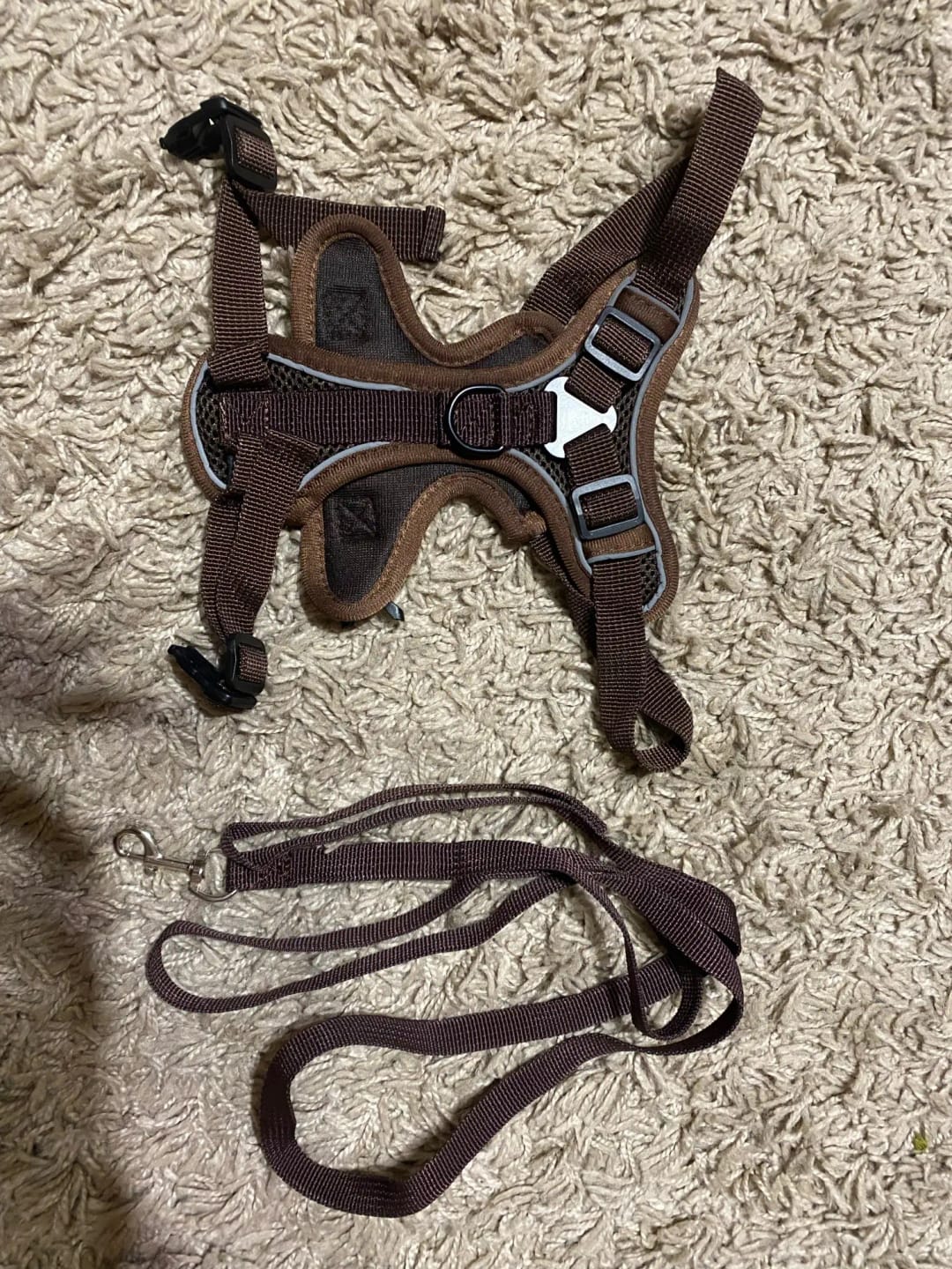 Customer photo review of Harness and Leash Set for Small Dog and Cat